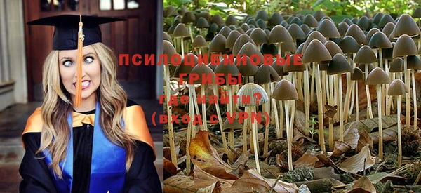 ПСИЛОЦИБИНОВЫЕ ГРИБЫ Абаза