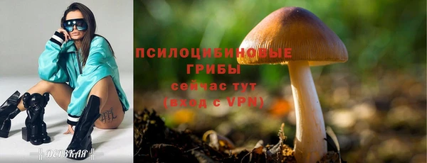 ПСИЛОЦИБИНОВЫЕ ГРИБЫ Абинск