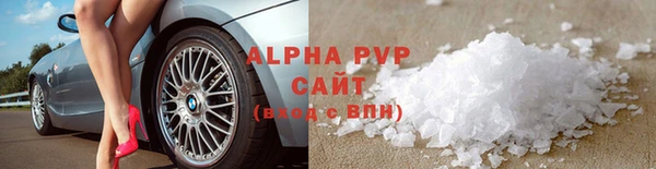 ПСИЛОЦИБИНОВЫЕ ГРИБЫ Абаза