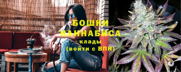 ПСИЛОЦИБИНОВЫЕ ГРИБЫ Абаза
