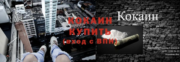 ПСИЛОЦИБИНОВЫЕ ГРИБЫ Абинск