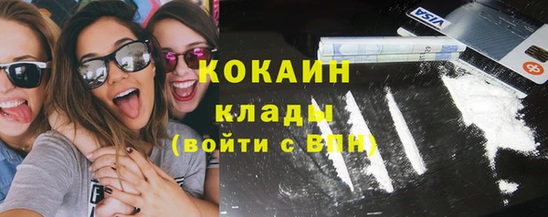 ПСИЛОЦИБИНОВЫЕ ГРИБЫ Абаза