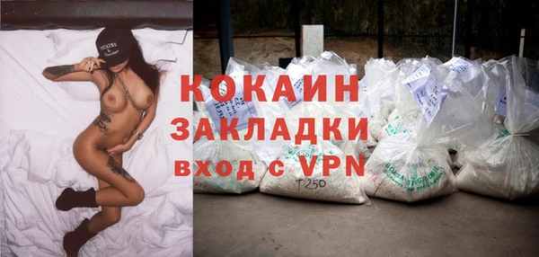 ПСИЛОЦИБИНОВЫЕ ГРИБЫ Абаза