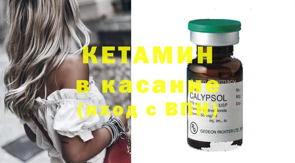ПСИЛОЦИБИНОВЫЕ ГРИБЫ Абаза